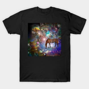 Time is Illusion T-Shirt